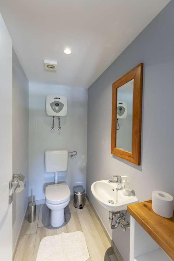Villa Viscum In Central Istria For 8 Persons With Large Garden - Pet Friendly Pazin Esterno foto