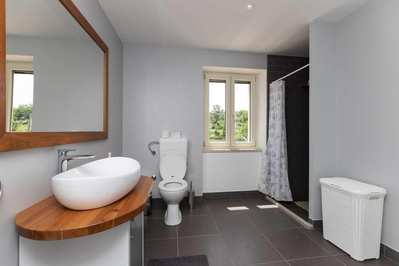 Villa Viscum In Central Istria For 8 Persons With Large Garden - Pet Friendly Pazin Esterno foto